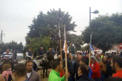 Toro de la Vega 2015 Francisco Alcalá,