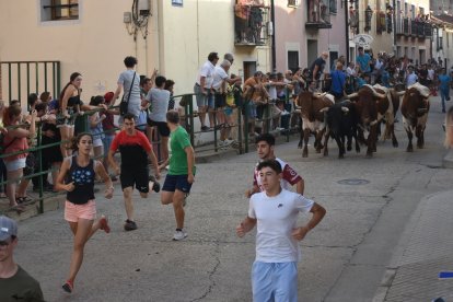 Encierro de novillos Cigales  / E. M.