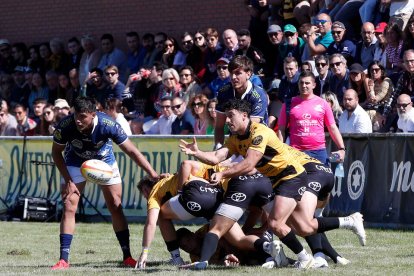 Supercopa de España de rugby: VRAC - Recoletas Burgos. / PHOTOGENIC