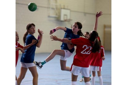 Jornada de balonmano en Viana de Cega. / E.M.