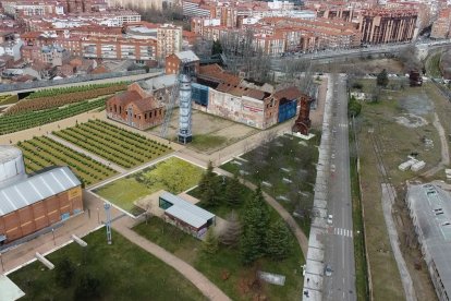 Proyecto de viñedo Urbano en el Parque de las Norias. Propuesta de Cs. CIUDADANOS