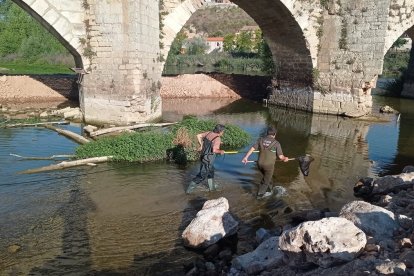 Obras en el Puente de Simancas.-L.D.F