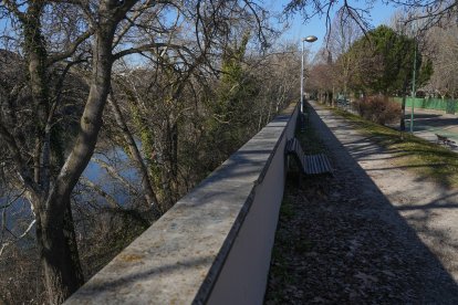 Paseo paralelo al Pisuerga en la avenida de Argentina en el barrio Arturo Eyries .- J.M. LOSTAU