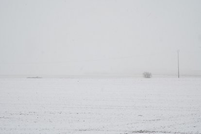 Nieve en la A-62 en el término municipal de Geria.- ICAL