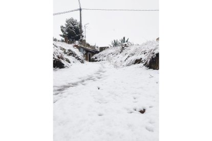 Nevada en el municipio de Mucientes.- E. M.