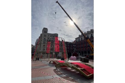 Instalación del árbol de Navidad en la Plaza Mayor.