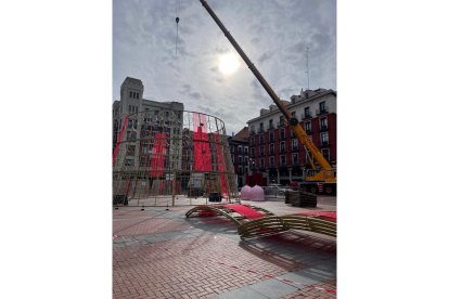 Instalación del árbol de Navidad en la Plaza Mayor.