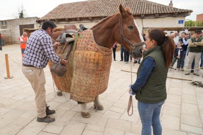 Villanueva de Duero, Feria de los Oficios.- J. M. LOSTAU