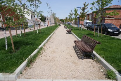 Calle del Roncal en el barrio España.- J.M. LOSTAU