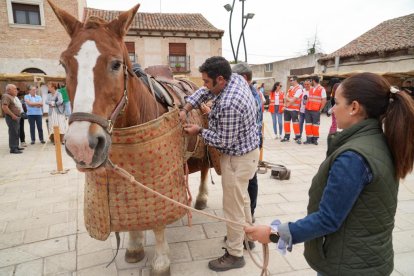 Villanueva de Duero, Feria de los Oficios.- J. M. LOSTAU