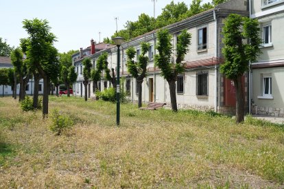 Campo de Jerez en el barrio España.- J.M. LOSTAU