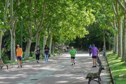 Parque Soto de Medinilla en el barrio España.- J.M. LOSTAU