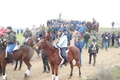 Campeonato de España de galgos en campo. / LDF