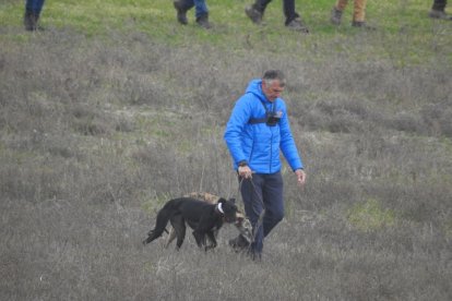 Campeonato de España de galgos en campo. / LDF