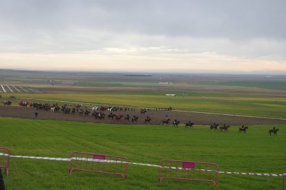 Campeonato de España de galgos en campo. / LDF