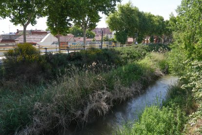 Paseo del Cauce en el barrio España.- J.M. LOSTAU