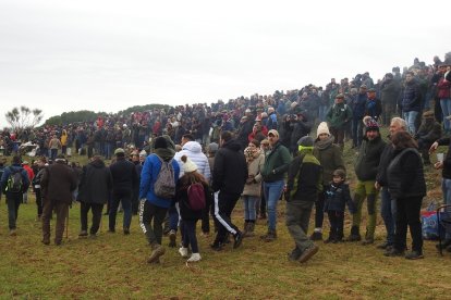 Campeonato de España de galgos en campo. / LDF