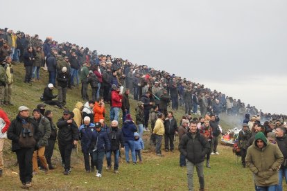 Campeonato de España de galgos en campo. / LDF