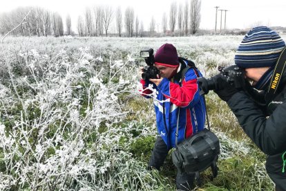La cencellada deja paisajes blancos en Valladolid