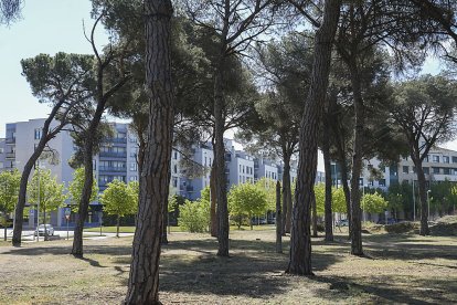 Calle Kilimanjaro.- J. M. LOSTAU