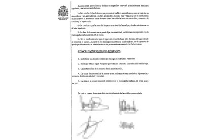 Conclusiones de la autopsia de Esther López. E. M.