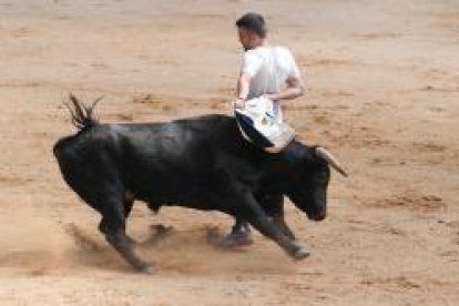 Encierros de las fiestas de Íscar, en Valladolid.- J.M.LOSTAU