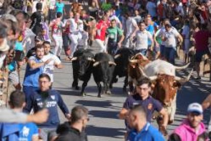 Encierros de las fiestas de Íscar, en Valladolid.- J.M.LOSTAU