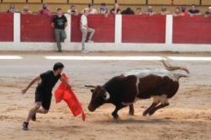 Encierros de las fiestas de Íscar, en Valladolid.- J.M.LOSTAU