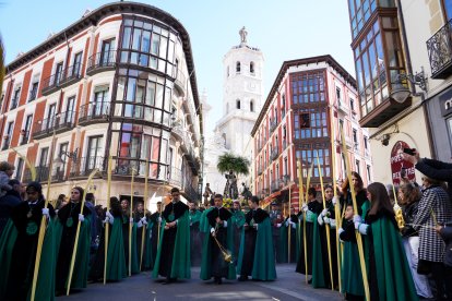 Procesión del Domingo de Ramos en Valladolid. ICAL