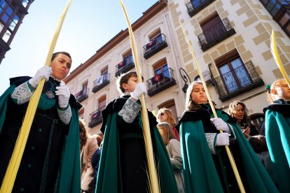 Procesión del Domingo de Ramos en Valladolid. ICAL