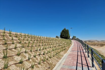 Acceso peatonal a los polígonos industriales de Zaratán - E. M.