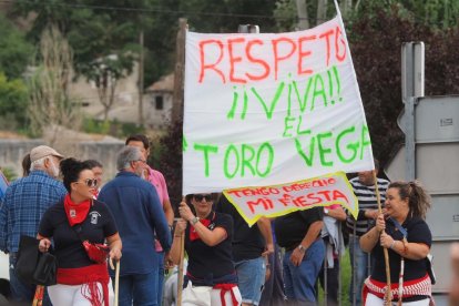 Toro de la Vega en Tordesillas. PHOTOGENIC