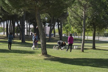 Parque del Pinar de Jalón. J. M. LOSTAU
