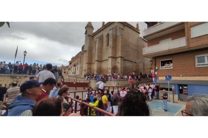 Toro de la Vega en Tordesillas.