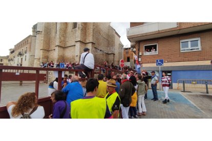 Toro de la Vega en Tordesillas.