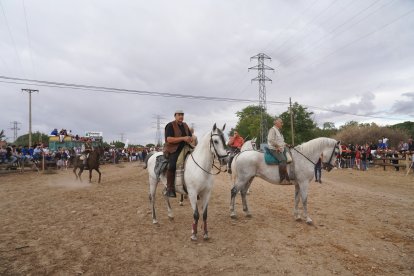 Toro de la Vega en Tordesillas. ICAL