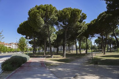 Parque del Pinar de Jalón. J. M. LOSTAU