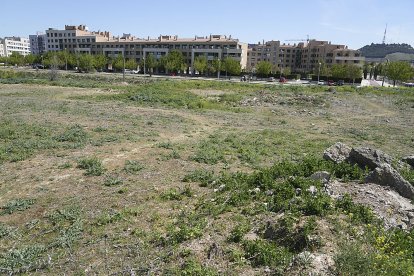 Terrenos donde está proyectado construir el 'aquapark'. J. M. LOSTAU