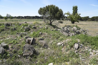 Terrenos donde está proyectado construir el 'aquapark'. J. M. LOSTAU