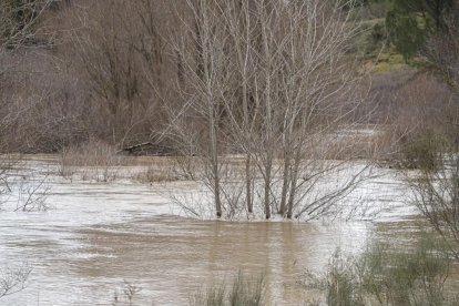 Río Adaja, a su paso por Valdestillas, con la borrasca Juan. -PHOTOGENIC