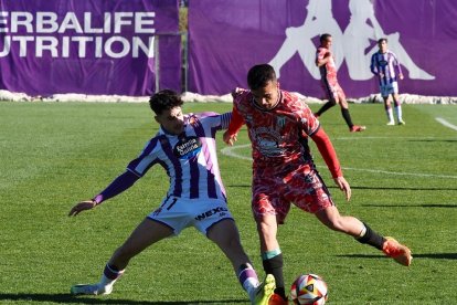Partido entre el Real Valladolid Promesas y el Guijuelo. / Photogenic/Miguel Ángel Santos
