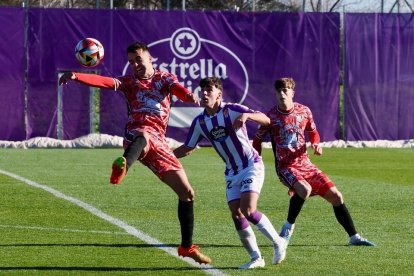 Partido entre el Real Valladolid Promesas y el Guijuelo. / Photogenic/Miguel Ángel Santos