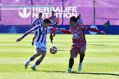 Partido entre el Real Valladolid Promesas y el Guijuelo. / Photogenic/Miguel Ángel Santos