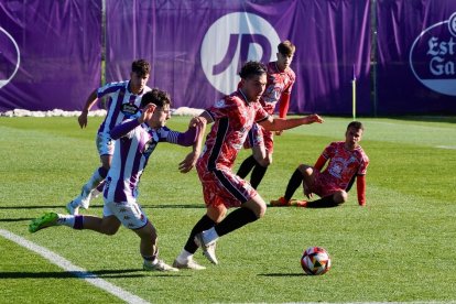 Partido entre el Real Valladolid Promesas y el Guijuelo. / Photogenic/Miguel Ángel Santos