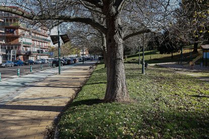Parque de San Isidro, junto a Juan Carlos I. J. M. LOSTAU