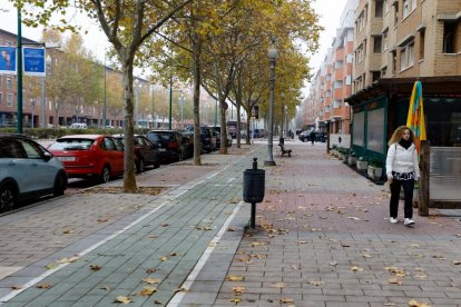 Barrio Parque Alameda. Paseo de Zorrilla en Parque Alameda. -  J. M. LOSTAU