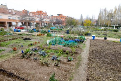 Barrio Parque Alameda. Huertos urbanos en la calle Vega Sicilia.-  J. M. LOSTAU