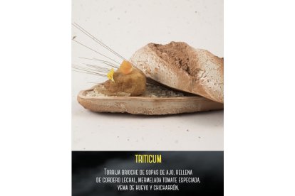 Triticum - Verde Oliva