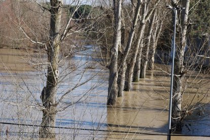 Fotos del río Cega a su paso por Viana. -PHOTOGENIC.