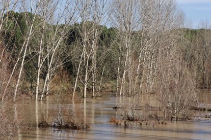 Fotos del río Cega a su paso por Viana. -PHOTOGENIC.